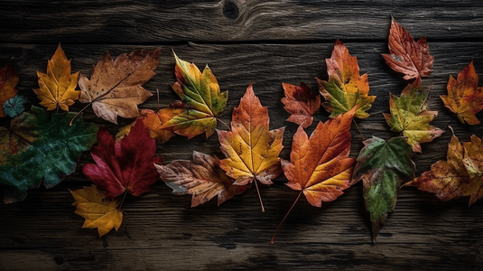 秋天自然背景的干叶落下有质感的丰富多彩