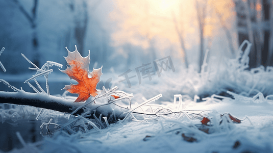 霜降枫叶景色摄影