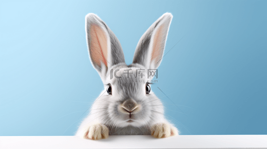 宠物电商背景图片_宠物可爱小兔子萌宠电商促销背景