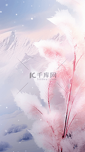 冬天冬季粉色芦苇花上的雾凇冰晶背景