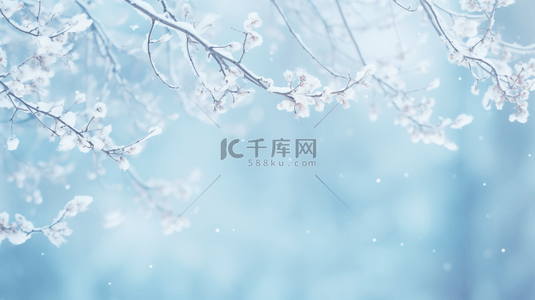 冬天背景图片_蓝色冬天风景雪中的花枝