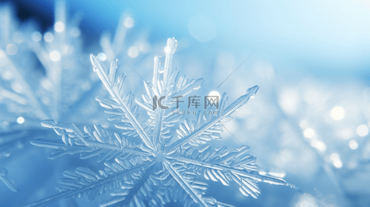 霜花背景图片_蓝色冬天松枝上的冰晶冰花雾凇背景