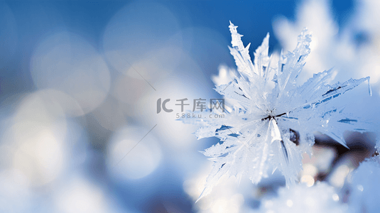 aigc冰花背景图片_蓝色冬天松枝上的冰晶冰花雾凇背景