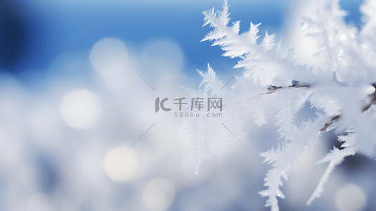 冬天的冰花背景图片_蓝色冬天松枝上的冰晶冰花雾凇背景