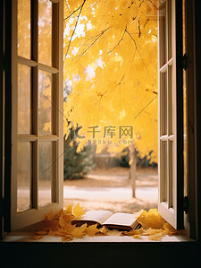 秋天4背景图片_透过窗户秋天的树木4