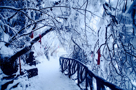 张家界天门山雪景