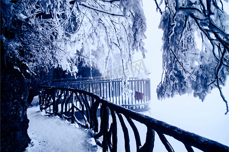 雾凇雪景摄影照片_张家界天门山雪景