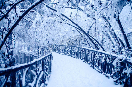 天门山雾凇摄影照片_张家界天门山雪景