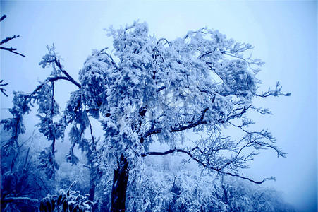 张家界天门山雪景