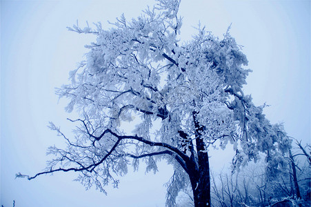 张家界天门山雪景