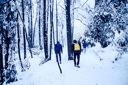 森林摄影照片_张家界天门山雪景