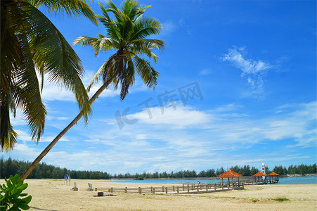 海边椰树摄影照片_海南文昌椰林湾