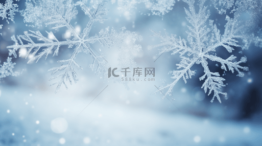 雪花新年背景图片_冬季雪花冰晶唯美背景10