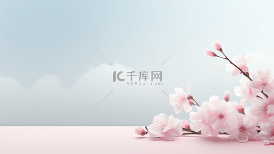 中国风传统简约花朵装饰简约背景5