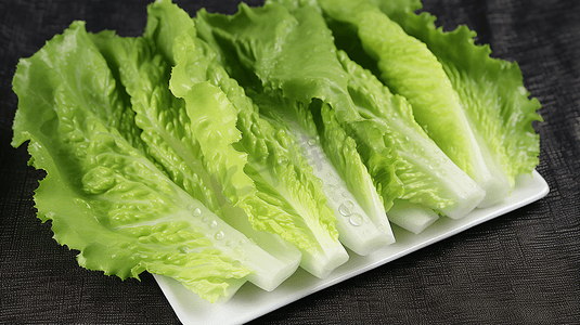 新鲜营养的绿色蔬菜生菜