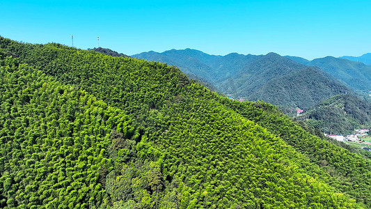 航拍竹海森林高山竹海山峰