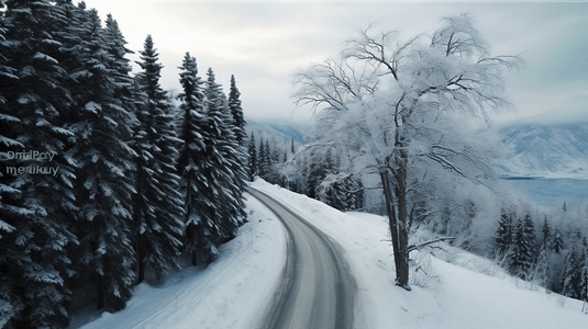 冬日树林道路雪景