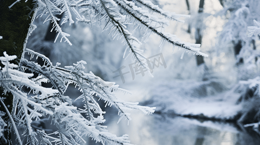 冰雪女神摄影照片_冬季被冰雪覆盖的枝叶
