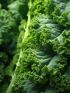 青菜煎带鱼背景图片_蔬菜叶子特写青菜背景12