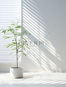 电商背景植物背景图片_植物和百叶窗的空墙电商背景13