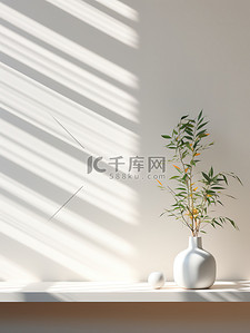 植物和百叶窗的空墙电商背景15