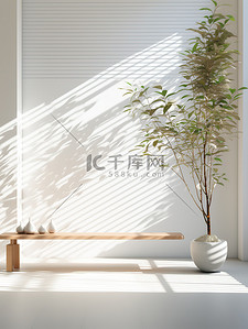 植物和百叶窗的空墙电商背景8