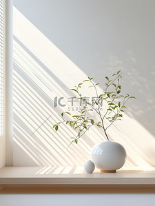 植物和百叶窗的空墙电商背景4