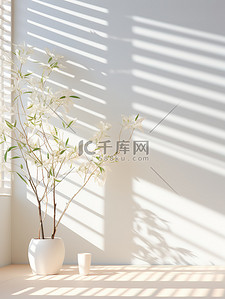 电商数字5背景图片_植物和百叶窗的空墙电商背景5