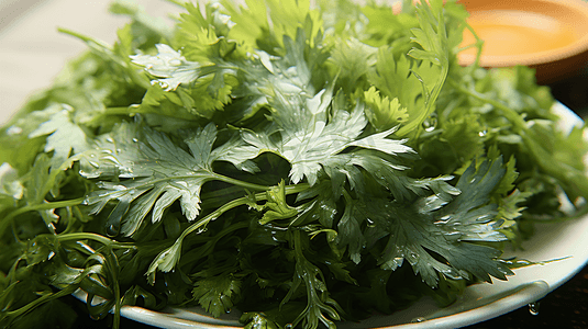 茼蒿摄影照片_绿色蔬菜火锅食材茼蒿