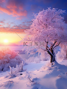 冬天紫色背景图片_被雪覆盖的树木日出浅紫色1