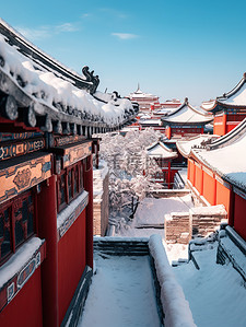 中国红墙古建筑积雪16