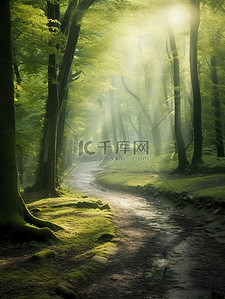 斑驳的背景图片_森林阳光透过斑驳的光影3