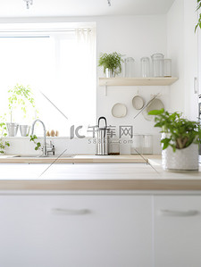 干净的厨房绿植白色色调19