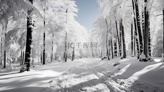 雪景阳光背景图片_阳光明媚雪景森林雪山3