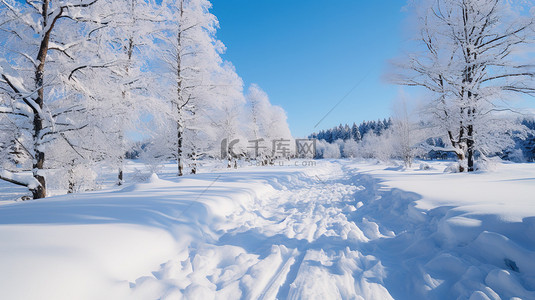 雪景雪山背景图片_阳光明媚雪景森林雪山13