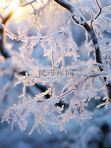 树枝上的冰挂冬天雪景12