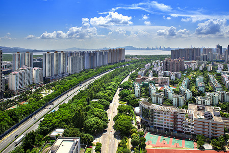 香港绿化摄影照片_航拍深圳城市风光