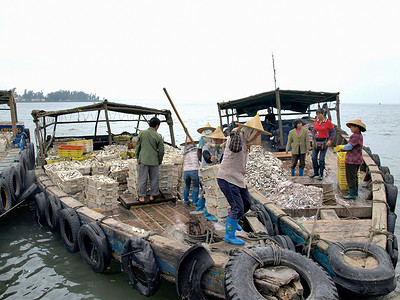 白马摄影照片_海南白马井鱼港码头的鱼民