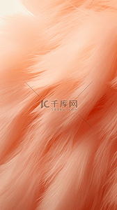 毛绒数字背景图片_柔和桃色毛绒潘通流行色背景
