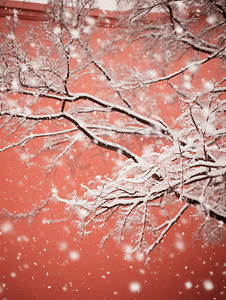 冬季故宫红墙雪景