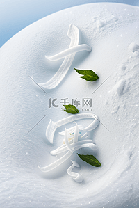 大寒节气冬天雪地背景146