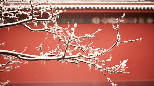 北京故宫博物院摄影照片_冬季故宫红墙雪景