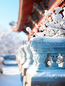 紫禁城背景图片_冬天下雪的故宫特写5素材