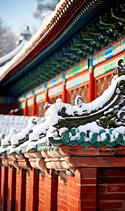 冬季故宫雪景摄影图32