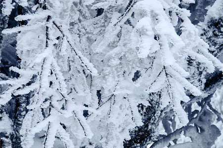 湖南张家界天门山上冰冻的树木结冰摄影图