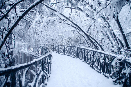 雾凇雪景摄影照片_湖南张家界天门山上冰冻的栈道雪山摄影图