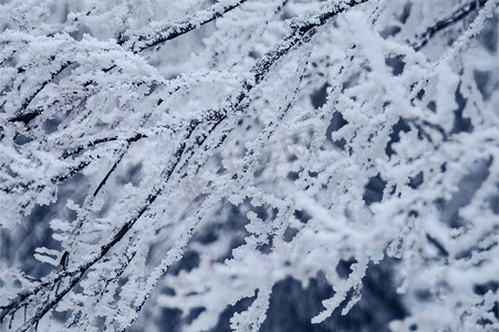 雾凇雪景摄影照片_湖南张家界天门山上冰冻的树木森林雾凇