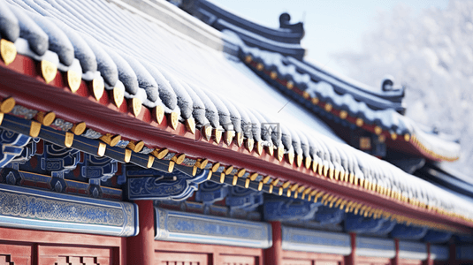 飞檐屋顶背景图片_北京故宫冬季雪景特写镜头图片3