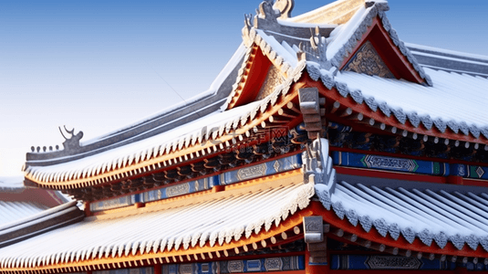 图片冬季背景图片_北京故宫冬季雪景特写镜头图片18