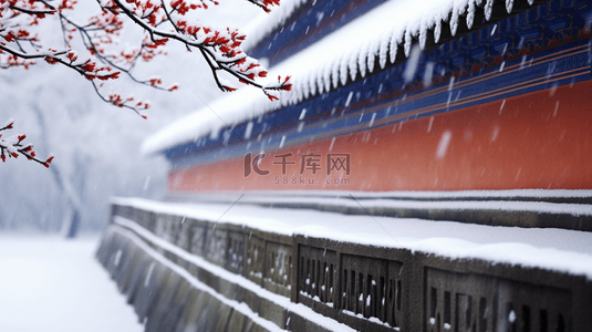 飞檐屋顶背景图片_北京故宫冬季雪景特写镜头图片13